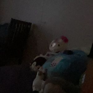 Meet your Posher, Abby